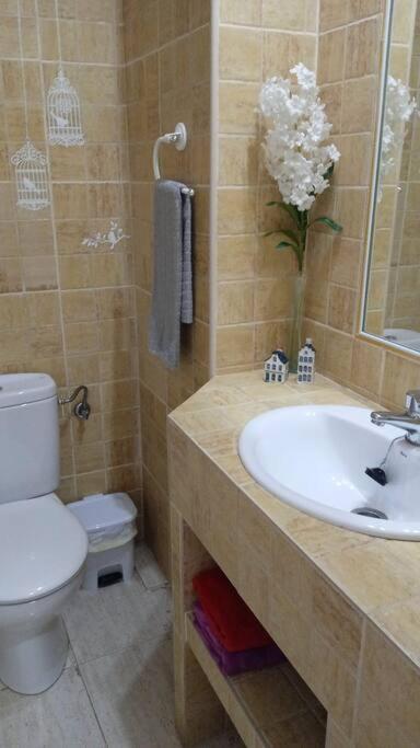 Acogedor Apartamento Jv36 Córdoba Eksteriør billede